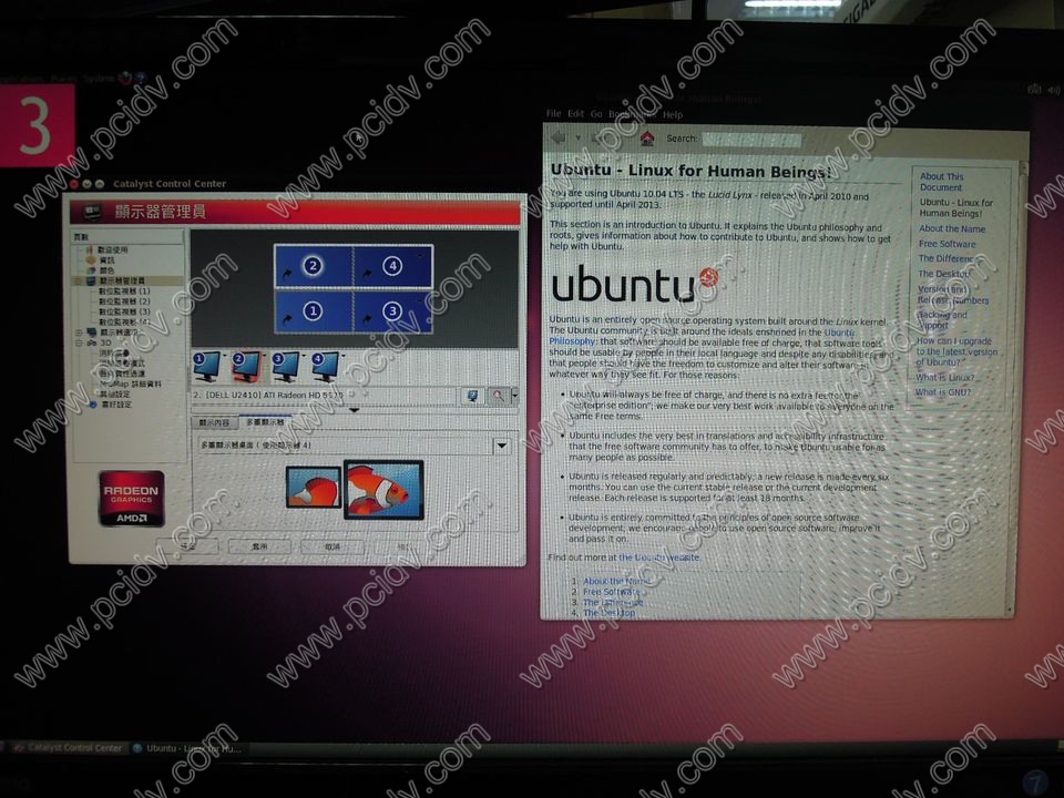 pcidv.com/vhdci HD5570 support 4 monitors in ubuntu